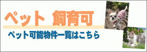 銀座　賃貸　ペット可能